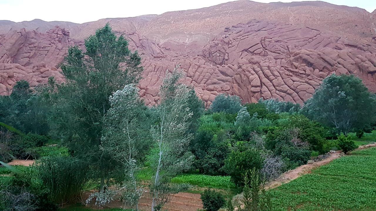 Auberge Kasbah Ait Marghad Tamellalt  Eksteriør billede